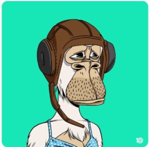 bored ape, universal